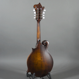 Eastman MD315