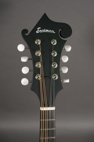 Eastman MD315