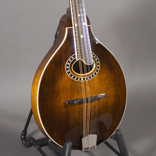 Eastman MD504