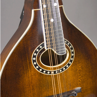 Eastman MD504