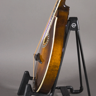 Eastman MD504