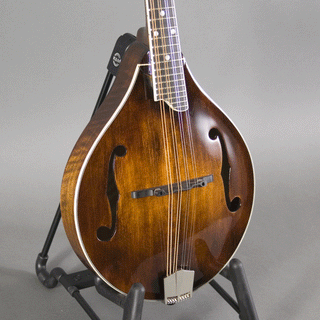 Eastman MD505