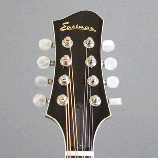 Eastman MD805