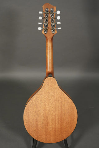 Eastman PCH-M104 Natural