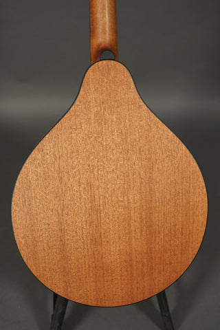 Eastman PCH-M104 Natural