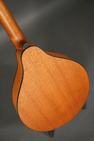 Eastman PCH-M104 Natural