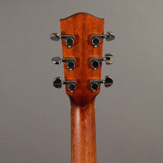Eastman PCH1-OM