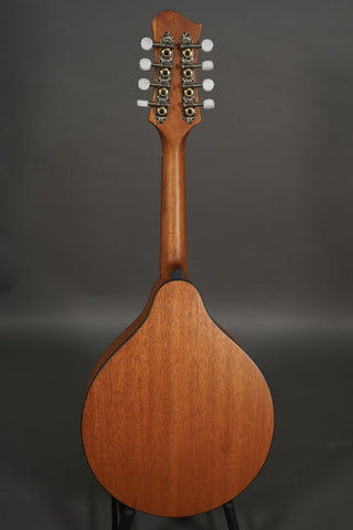Eastman PCH-M104 Goldburst