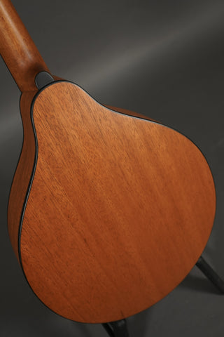 Eastman PCH-M104 Goldburst