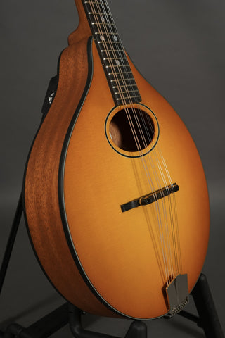 Eastman PCH-M104 Goldburst