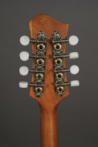 Eastman PCH-M104 Goldburst
