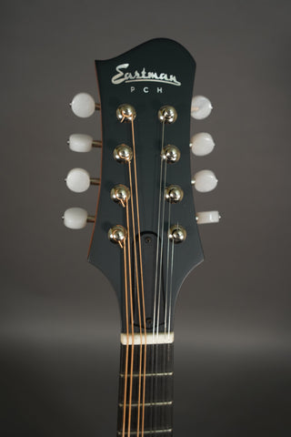 Eastman PCH-M104 Goldburst