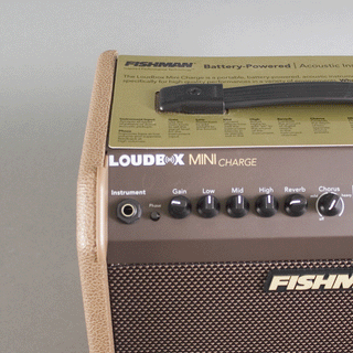 Fishman Loudbox Mini Charge