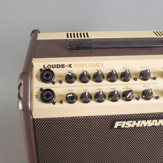 Fishman Loudbox Performer