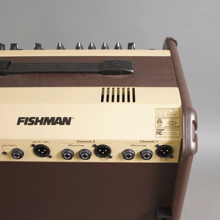 Fishman Loudbox Performer