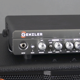 Genzler MG350 BA10 Combo (Series 2)