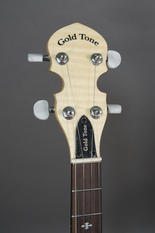 Gold Tone CC-Mini