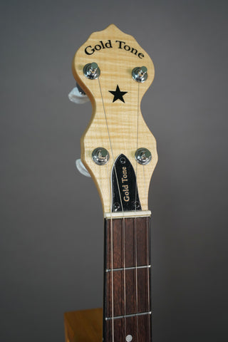 Gold Tone CC-Carlin