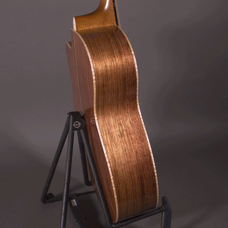 Goodall PEGCC Italian Spruce