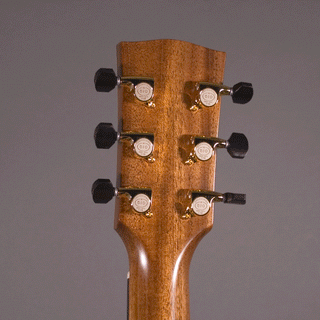 Goodall PEGCC Italian Spruce