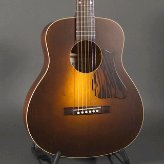 Iris Guitars DE-11