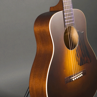 Iris Guitars DE-11
