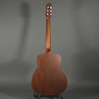 Iris Guitars DE-11