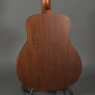 Iris Guitars DE-11