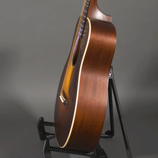 Iris Guitars DE-11