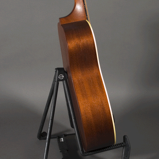 Iris Guitars DE-11