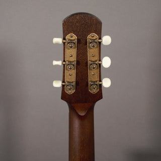 Iris Guitars MS-00 12-fret Natural