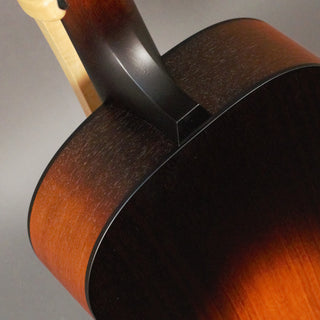 Iris Guitars RCM-000 Mahogany