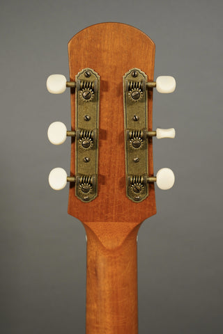 Iris Guitars AB Natural