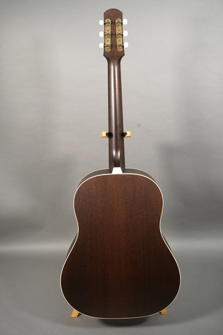 Iris Guitars DF Burst