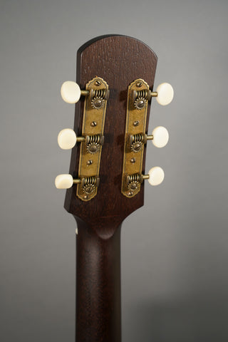 Iris Guitars DF Burst