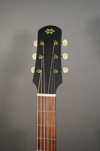 Iris Guitars DF Burst