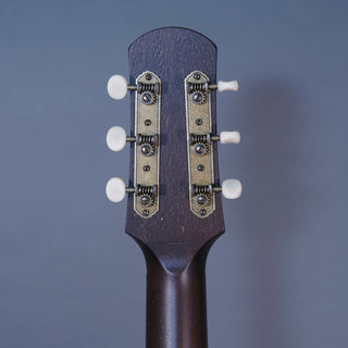 Iris Guitars DF Burst