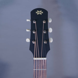 Iris Guitars DF Burst