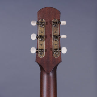 Iris Guitars MS-00 Cedar/Rosewood
