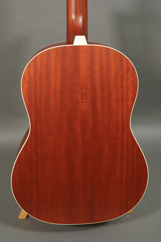 Iris Guitars OG 12-Fret