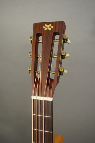Iris Guitars OG 12-Fret