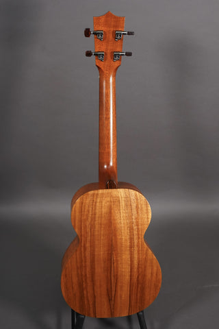 Kamaka HF-3