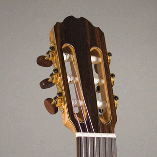 Kremona Fiesta F65CW TLR