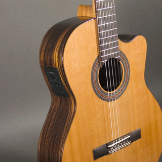 Kremona Fiesta F65CW TLR