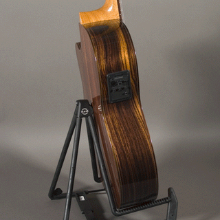 Kremona Fiesta F65CW TLR