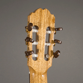 Kremona Fiesta F65CW TLR