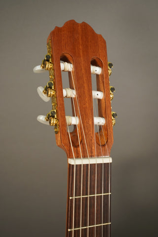 Kremona S65C