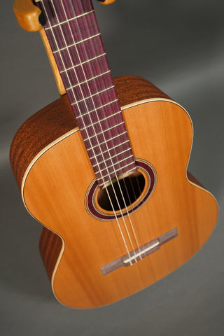 Kremona S65C Green Globe