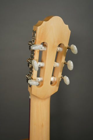 Kremona S65C Green Globe