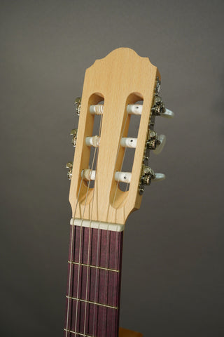 Kremona S65C Green Globe